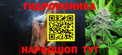 скорость Рыбинск